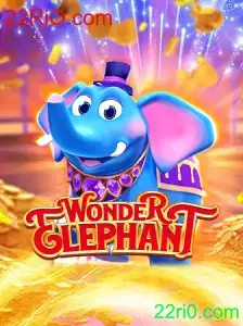 Descubra o Mundo Fascinante de WonderElephant